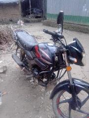 Zaara 100